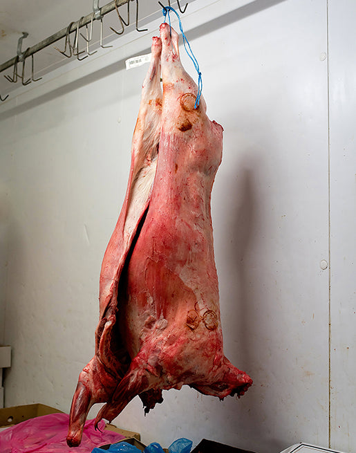 Whole sheep