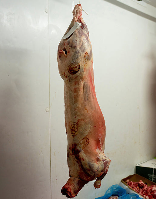 Whole Sheep